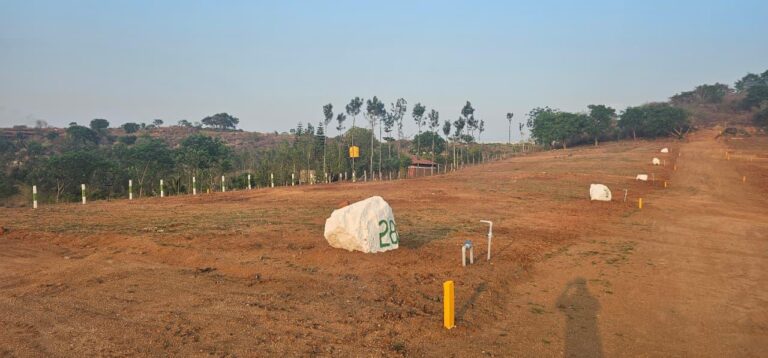 Managed Farmland Plots Near Bangalore
